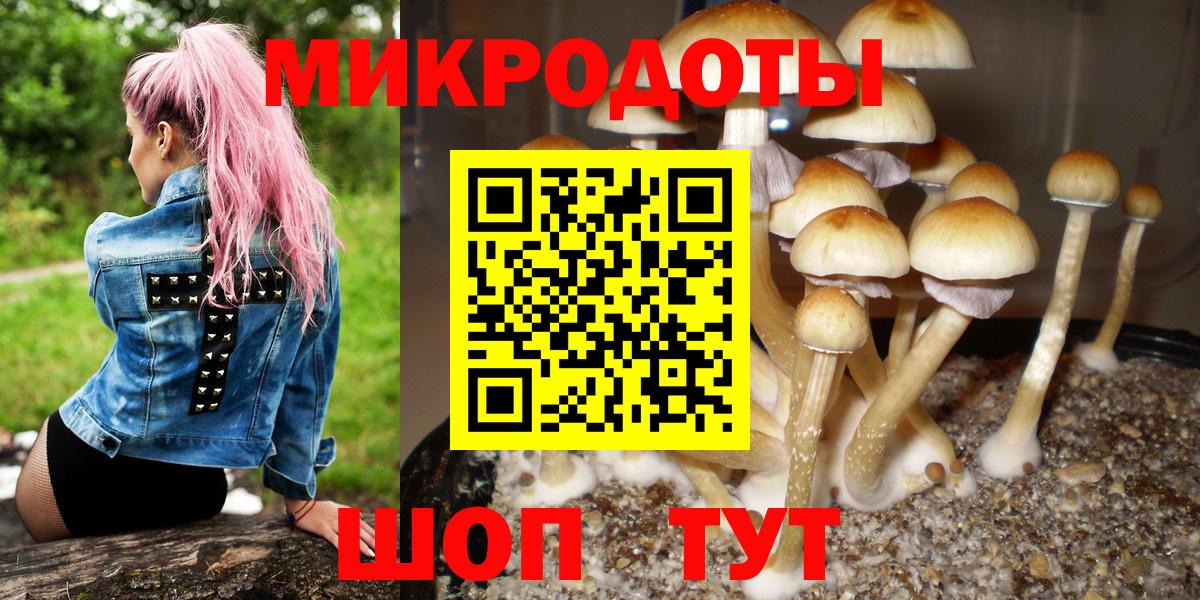 Галлюциногенные грибы Magic Shrooms Камышлов
