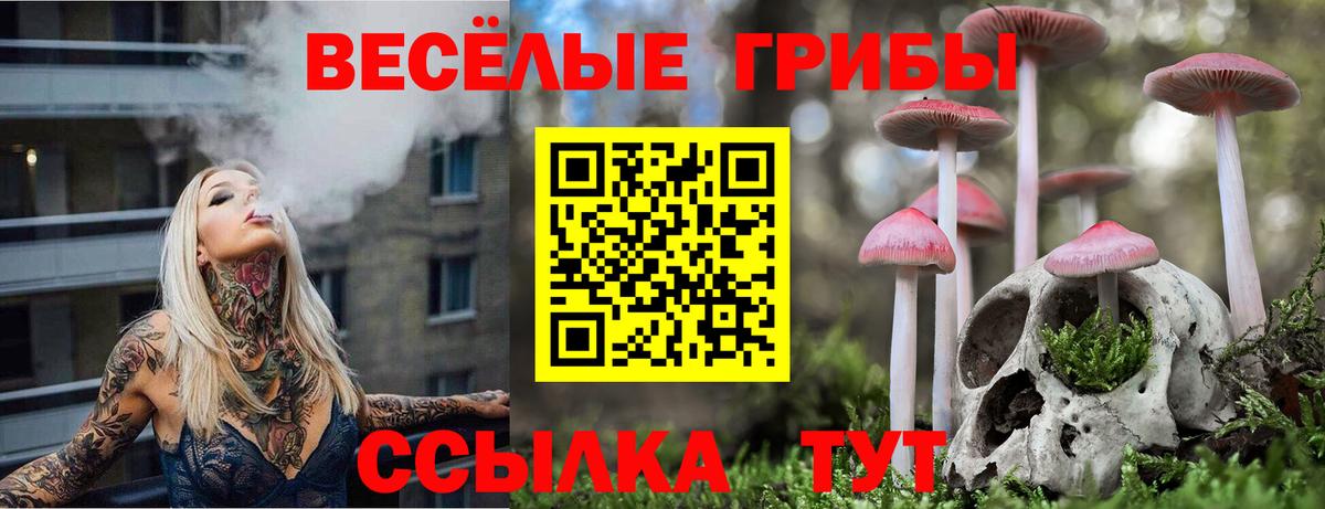 Галлюциногенные грибы прущие грибы  Вход с VPN  Камышлов 