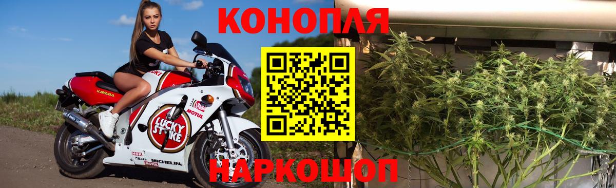 Марихуана планчик  Вход с VPN  Шишки марихуана семена  Камышлов 